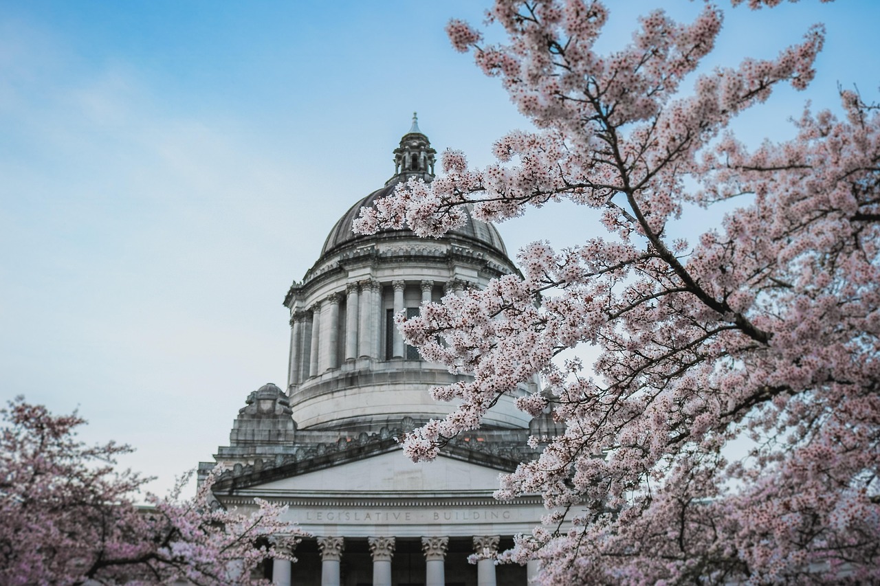 Capitolio, Edificio, Washington, Estado
