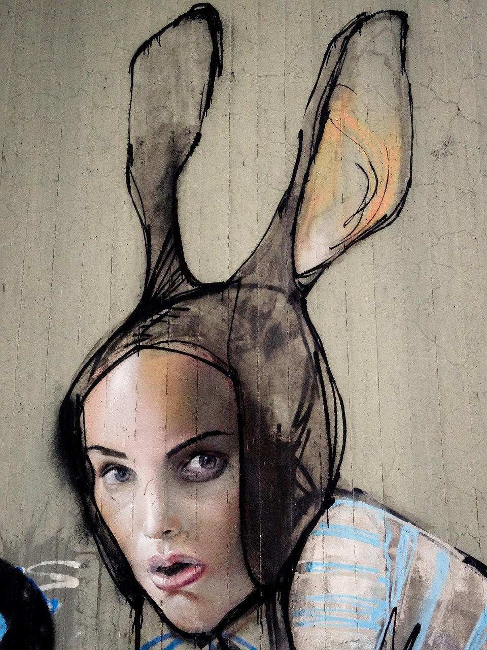 Graffiti Rabbit Woman - Free photo on Pixabay
