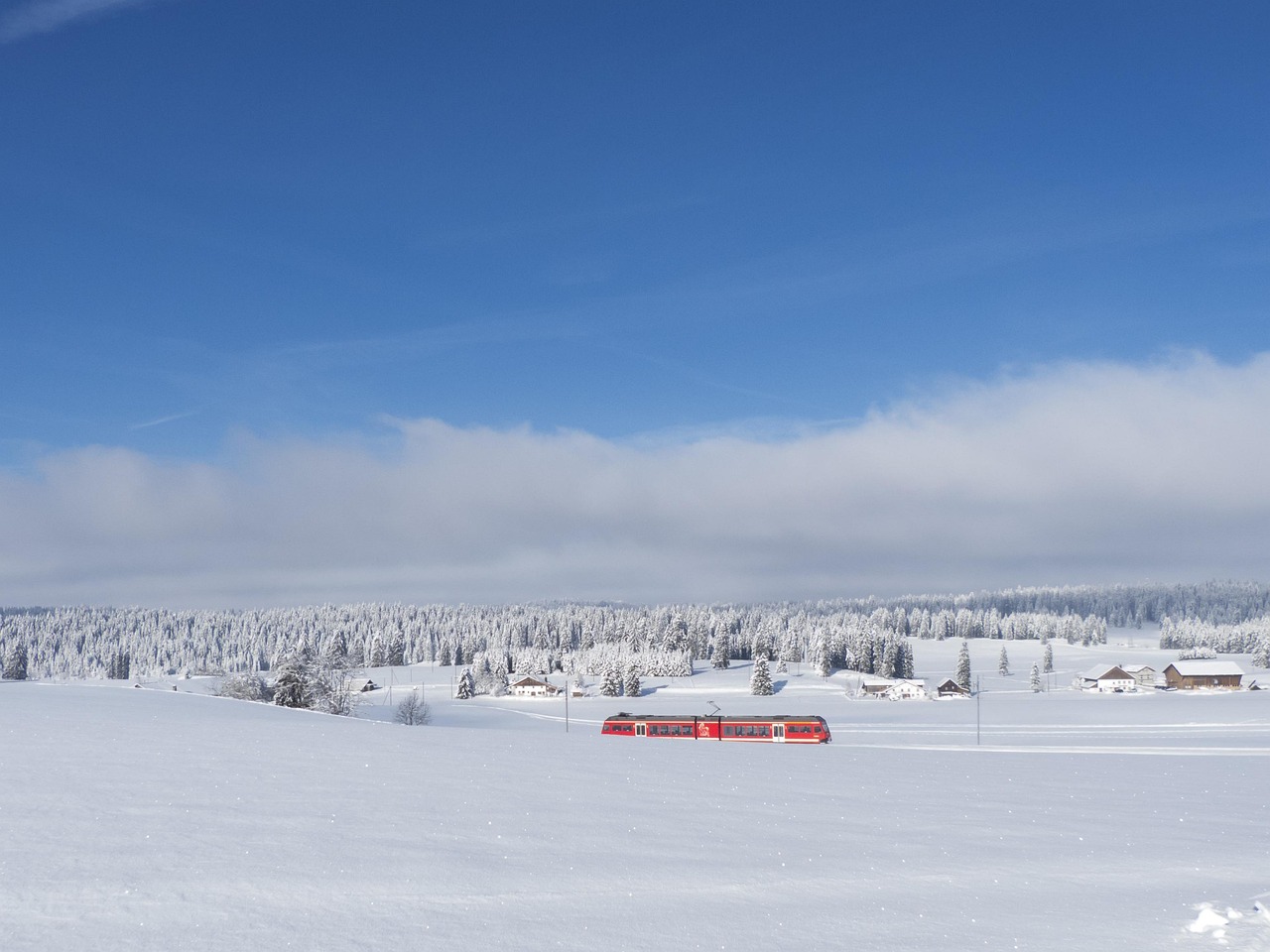 Snow - free online jigsaw puzzle photo