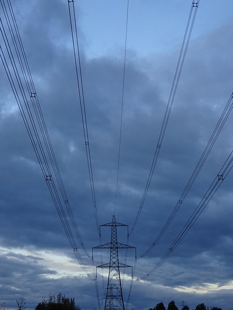 Free Pylon Cables photo and picture