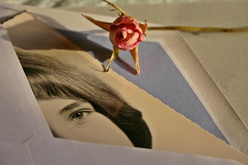 Carta, Sobre, Imagen, Mujer, Rosa