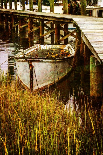 Free Color Skiff photo and picture