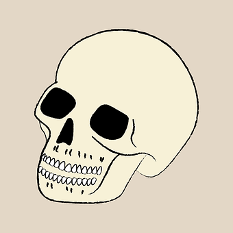 Free Skull Bone illustration and picture