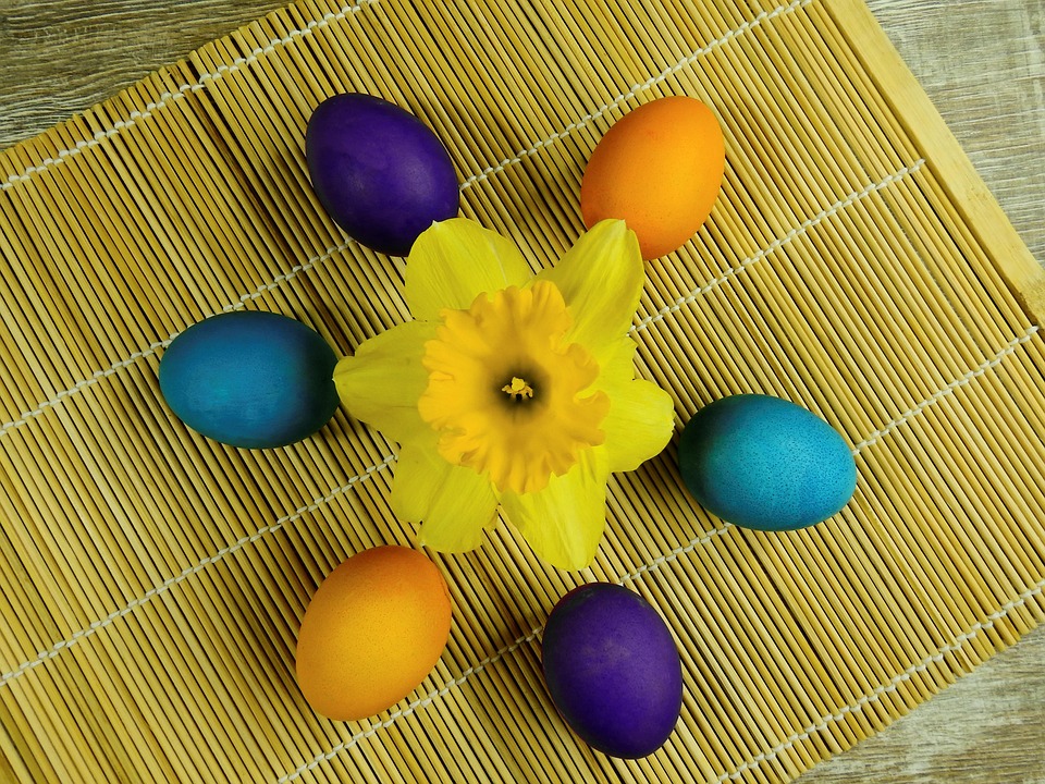 Blomma, Växt, Natur, Narcissus, Osterglocken, Blomning