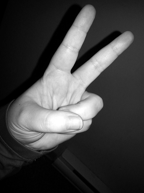 Free Peace Finger Sign photo and picture