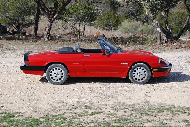 Free Alfa Romeo Spider photo and picture