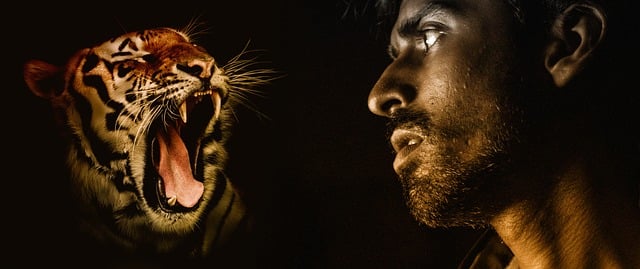 Free predator tiger man illustration