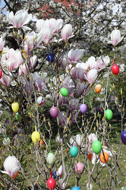 Påske, Påskeæg, Magnolia, Påske Busk