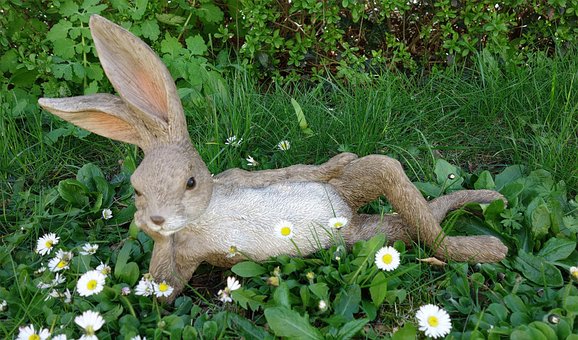 Free Easter Bunny Easter photo and picture