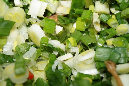 Free Onion Pattern Onion photo and picture