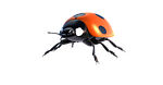ladybug, lucky ladybug, isolated