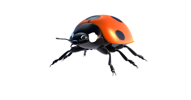 Free ladybug lucky bug isolated illustration