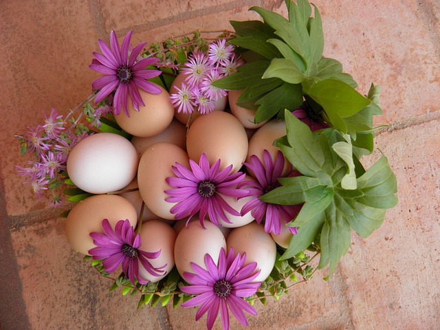Free Easter Egg Hunt Egg photo and picture