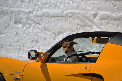 Voiture De Sport, Cabriolet, Luxe
