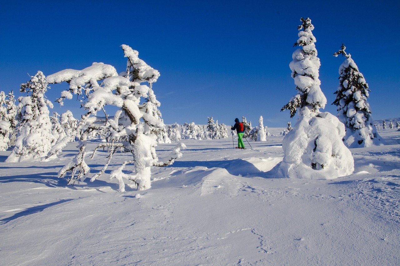 Snow Shoe Run Finland Free photo on Pixabay Pixabay