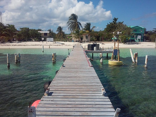 Free Beach Pier photo and picture
