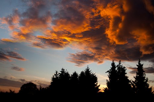 Free Heaven Orange photo and picture
