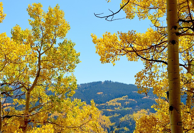 Free Aspen Mountains photo and picture