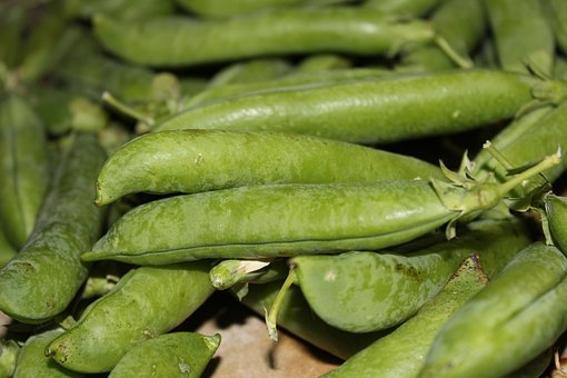 Free Green Peas Pea photo and picture
