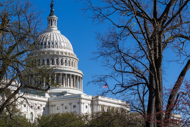 Free Us Capitol Building Washington Dc photo and picture