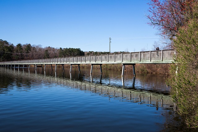 Free Lake Reflection photo and picture