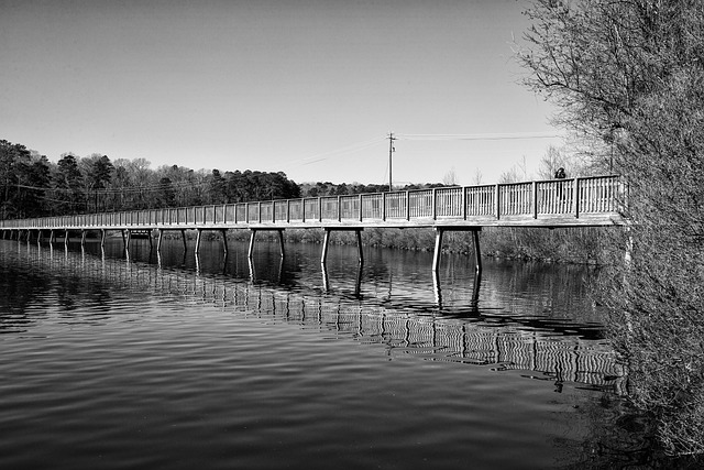 Free Lake Reflection photo and picture