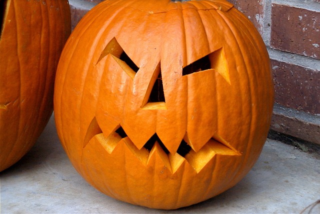 Free Pumpkin Jack-O-Lantern photo and picture