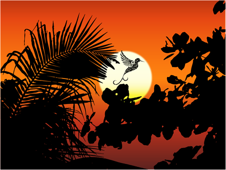 Silueta, Pájaro, Sol, Paisaje