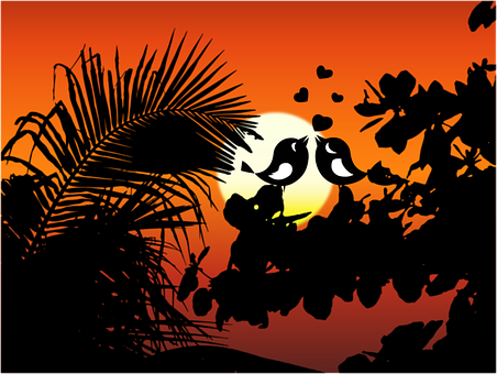 Pájaros, Naturaleza, Siluetas, Sol, Amor