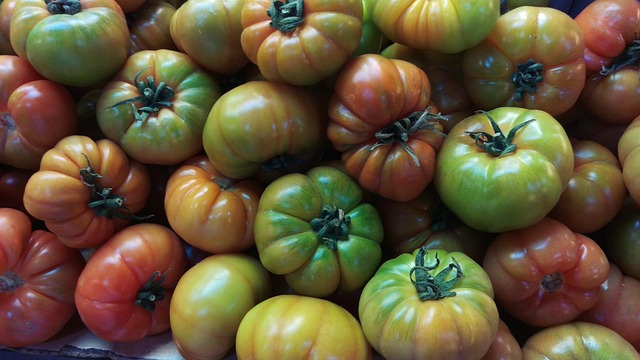 Free Tomatoes Vegetables photo and picture