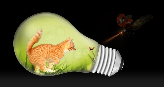 Free Green White illustration and picture