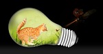 kitten, fantasy, mitze