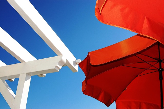 Free Garden Parasol photo and picture