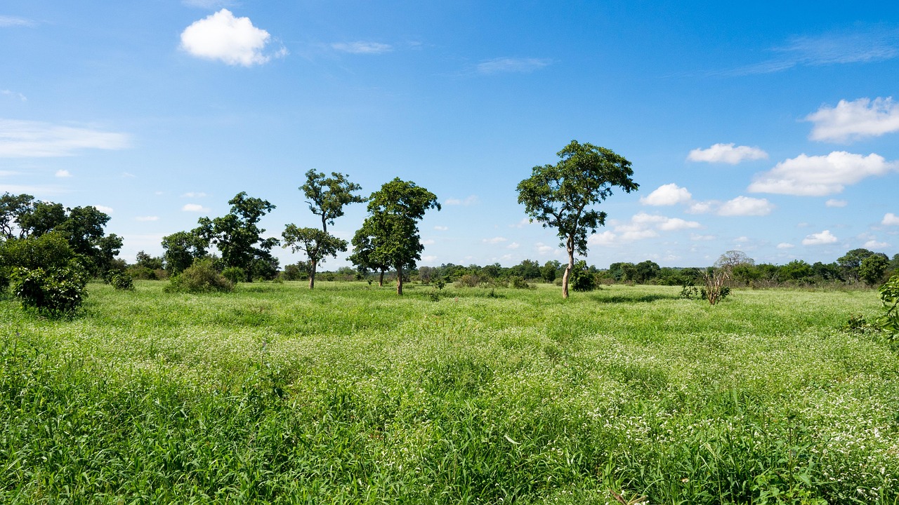 Landschaft Gro Gr n Kostenloses Foto Auf Pixabay