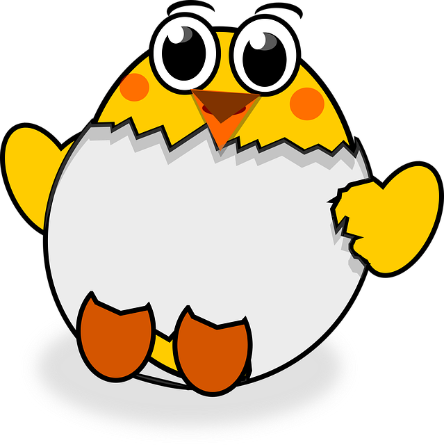 Free chick hatched chicken illustration