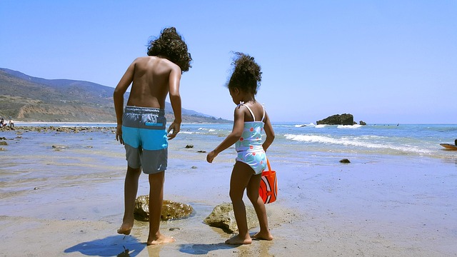 Free Beach Sun photo and picture