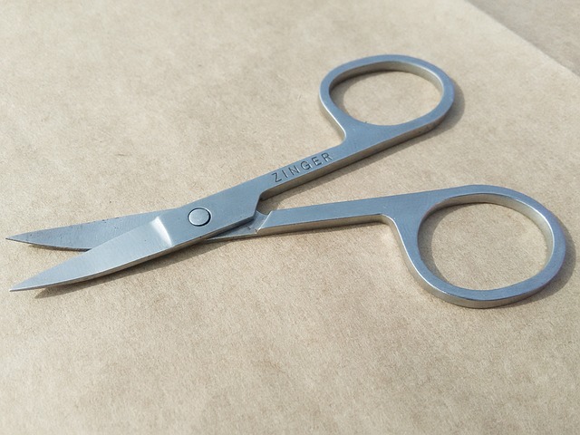 Free Court Scissor photo and picture