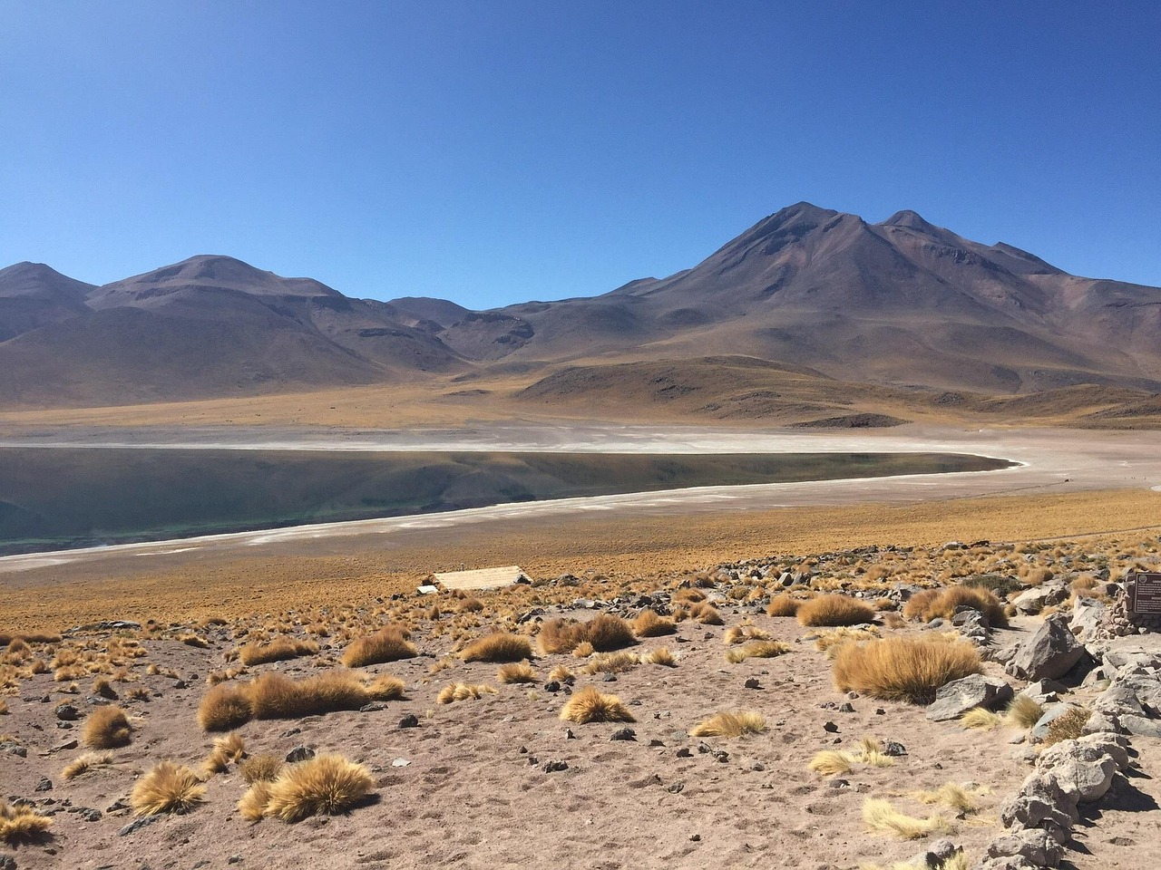 Laguna Altiplanica Chile - Free photo on Pixabay - Pixabay