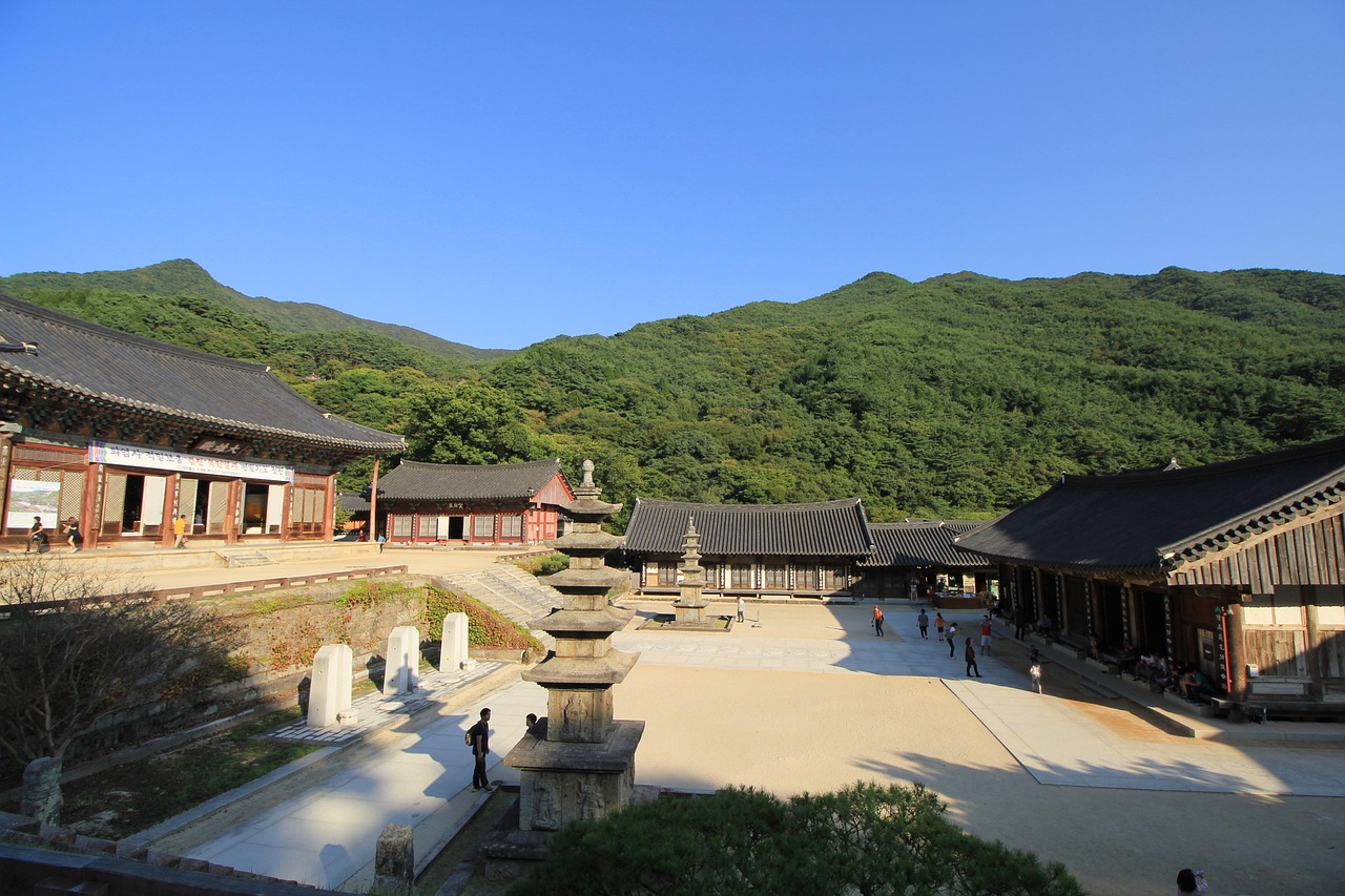 오대산 월정사 전나무숲 단풍 시기 2026, 절정은 언제? 입장료&middot;주차 총정리
