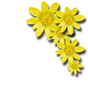 Free Flowers Spring illustration and picture
