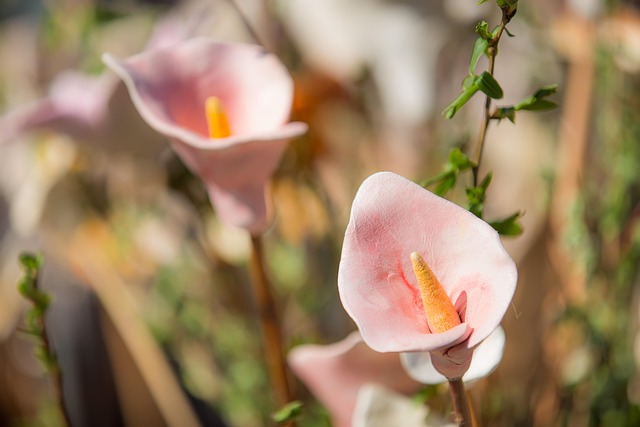 Free Flower Ceramic photo and picture