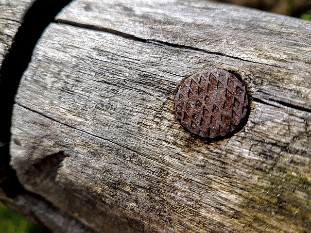 Free Wood Nail photo and picture
