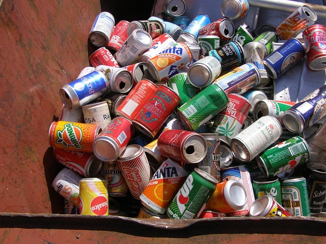 Free Trash Empty photo and picture