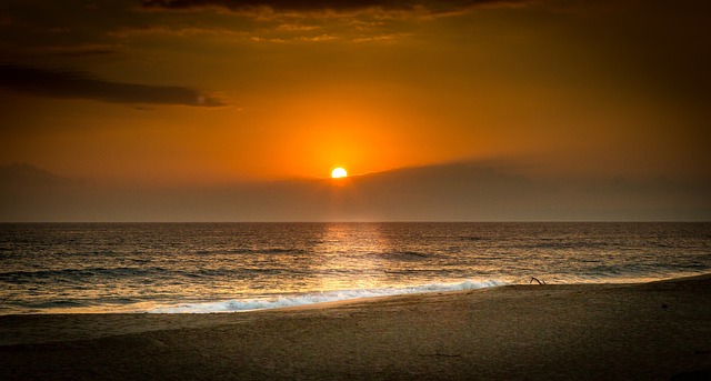 Free Sunset Tropical photo and picture