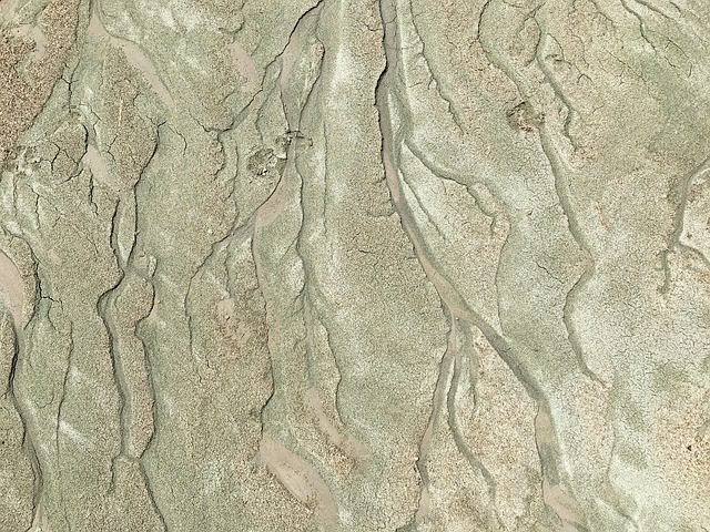 Free Sand Branches photo and picture
