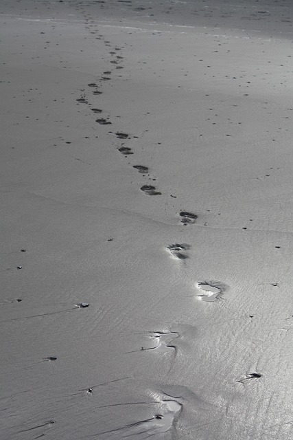 Free Sand Beach photo and picture
