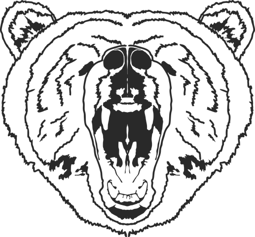 40+ Free Grizzly Bear & Bear Illustrations - Pixabay