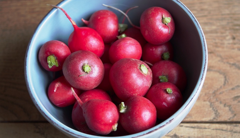 Ravanelli, Radix, Raphanus, Rosso, Rosa, Sano, Snack