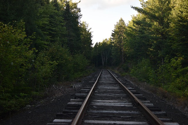 Free Railroad Train Tracks photo and picture