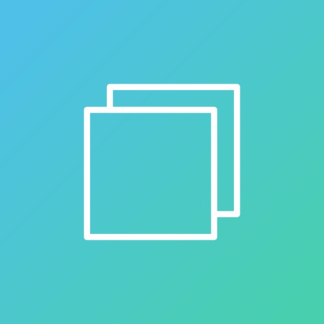 Free duplicate icon double illustration
